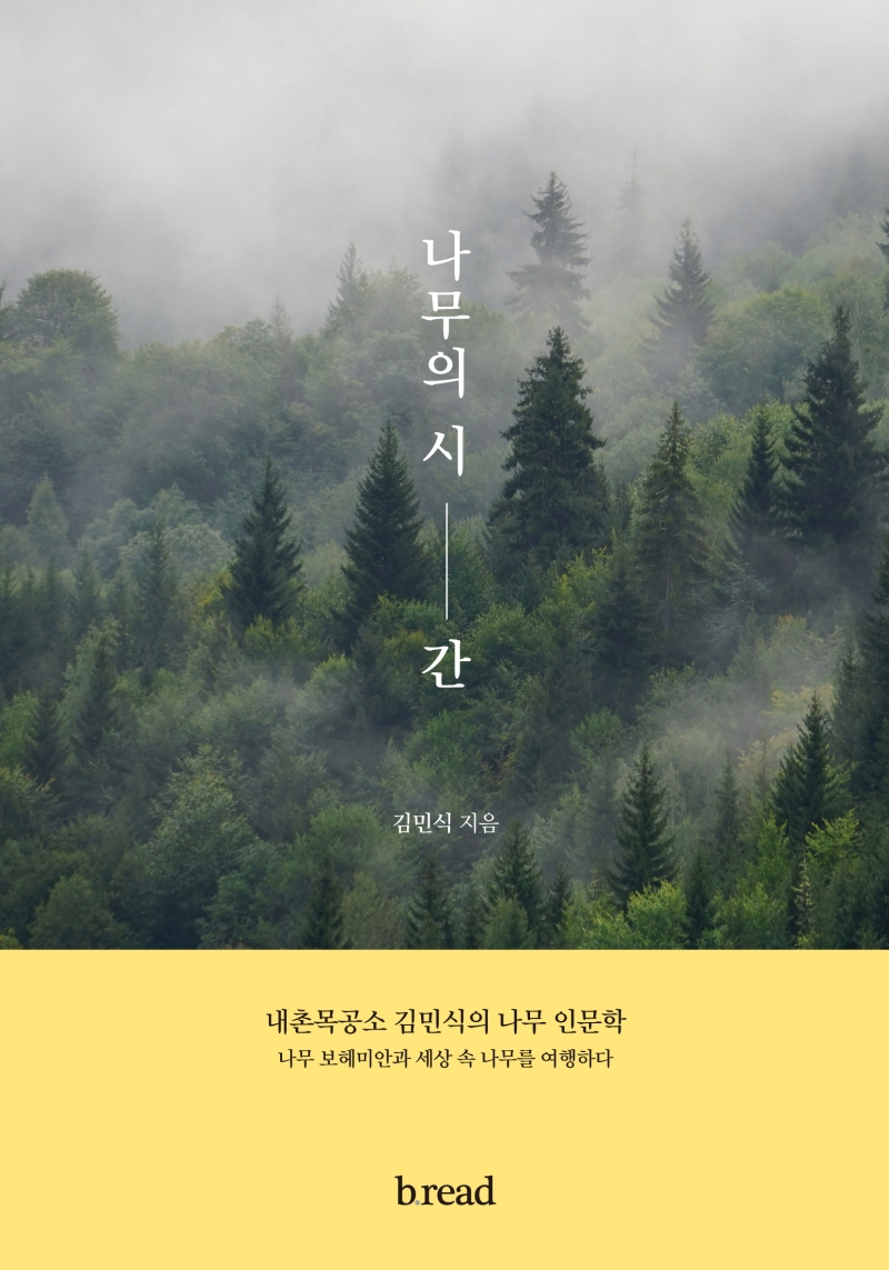 나무의 시간 : 내촌목공소 김민식의 나무 인문학