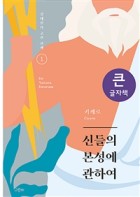 신들의 본성에 관하여 : 큰글씨책 표지이미지