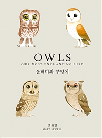올빼미와부엉이