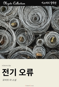 전기 오류- [전자책]