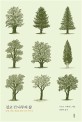 길고 긴 나무의 삶 : 문학, <span>신</span><span>화</span>, 예술로 읽는 나무 이야기