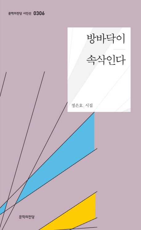 방바닥이 속삭인다  : 정은호 시집 표지