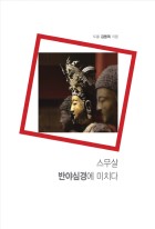 스무살, 반야심경에 미치다  표지이미지
