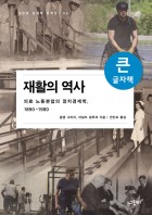(큰글씨)재활의 역사 : 의료 노동분업의 정치경제학, 1890~1980 표지이미지