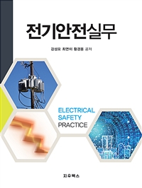 전기안전실무  = Electrical safety practice