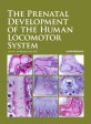 (The) prenatal development of the human locomotor system