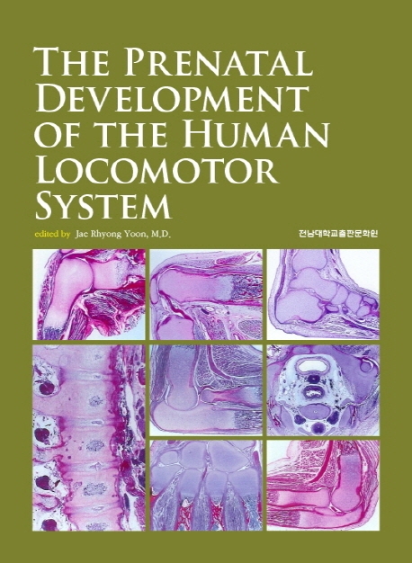 (The)prenatal development of the human locomotor system / edited by Jae Rhyong Yoon