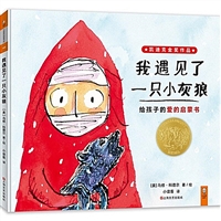 我遇见了一只小灰狼:给孩子的爱的启蒙书