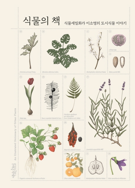 식물의 책  : 식물세밀화가 이소영의 도시식물 이야기 / 이소영