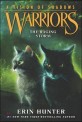 Warriors : (A)Vision of Shadows. 6, The Raging Storm