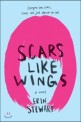 Scars like wings : a novel 