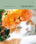 고양이와 할머니 : 사라지는 골목에서의 마지막 추억 표지이미지