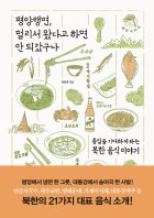 평양랭면, 멀리서 왔다고 하면 안 되갔구나 : 통일을 기대하게 하는 북한 음식 이야기 표지이미지