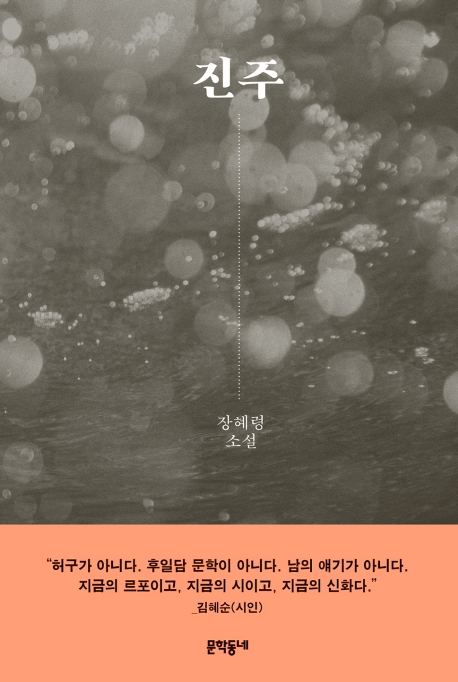 진주 : 장혜령 소설