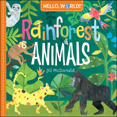 Rainforest animals 