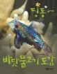 딩동~ 바닷물고기 도감