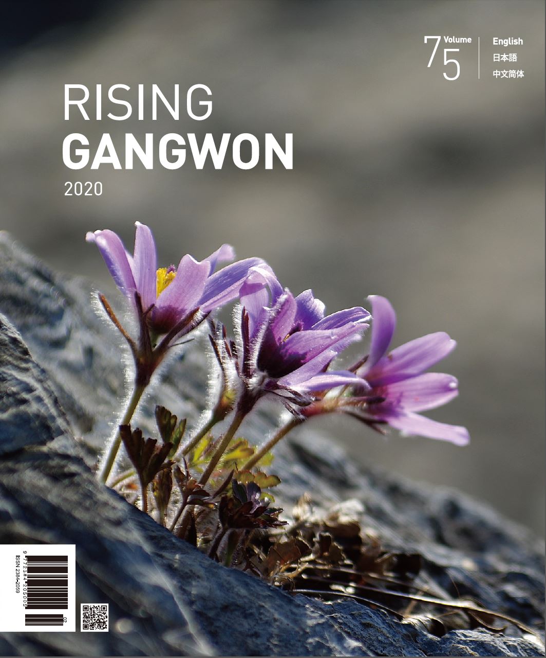 동트는 강원 / 강원도