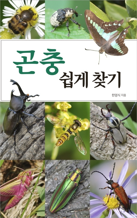 곤충 쉽게 찾기 :