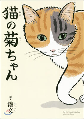 猫の菊ちゃん= Cat named Kikuchan