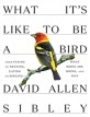What its like to be a bird: From Flying to Nesting Eating to Singing--What Birds Are Doing and Why
