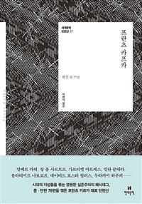 프란츠 카프카 : 변신 외 77편 