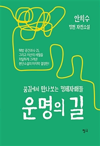 운명의 길: 안희수 장편 자전소설