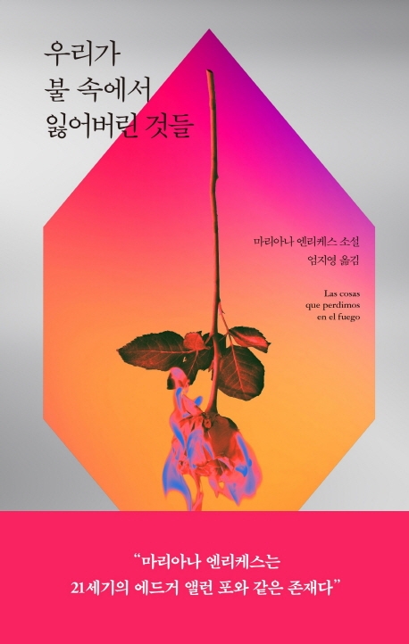 우리가 불 속에서 잃어버린 것들: 마리아나 엔리케스 소설