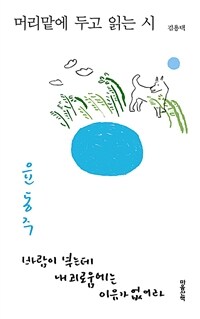 머리맡에두고읽는시:윤동주,바람이부는데내괴로움에는이유가없어라