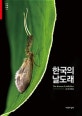 한국의 날도래  = The Korean caddisflies