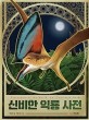 신비한 익룡 사전= Pterosaurs of the world an illustrated guide