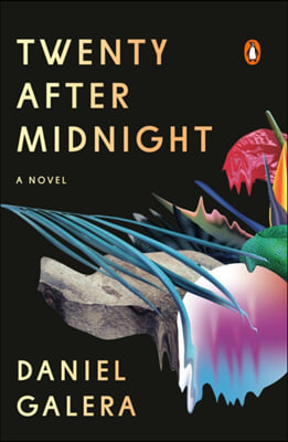 Twenty after midnight: a novel