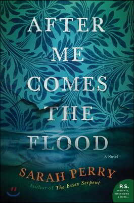After me comes the flood: a novel