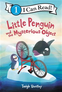 Little penguin and the mysterious object