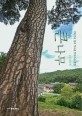 큰나무  : 강원인의 삶과 역사를 찾아가는 여행