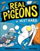 Real pigeons. 3 nest hard