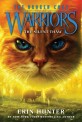 Warriors :  The Broken Code #2: The Silent Thaw (The Broken Code #2: The Silent Thaw)