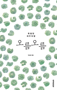 오름 오름_개정판 (특별한 제주여행, 개정판)