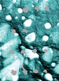 비밀 호수와 더스트 데블