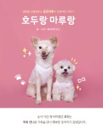 마루출판 이미지