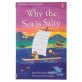 Why the sea is salty 