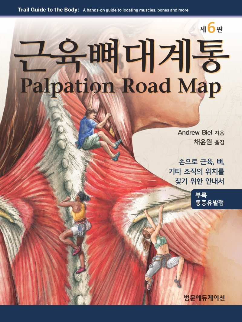 근육뼈대계통: Palpation road map:손으로 근육 뼈 기타 조직의 위치를 찾기 위한 안내서