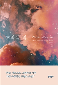호박색 밤 : 실비 제르맹 장편소설