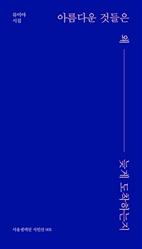 아름다운 것들은 왜 늦게 도착하는지 : 류미야 시집