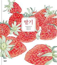 딸기 표지