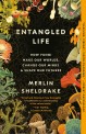 Entangled life: how fungi make our worlds change our minds & shape our futures