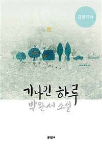 기나긴하루:박완서소설:큰글자책