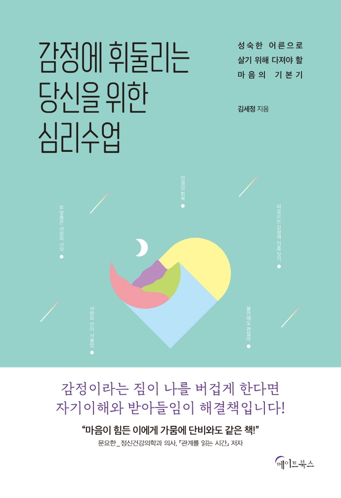 감정에 휘둘리는 당신을 위한 심리수업 : 성숙한 어른으로 살기 위해 다져야 할 마음의 기본기