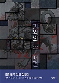 기억의 저편 : 김세화 장편소설 표지