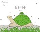 초록 거북 : [음성지원도서]
