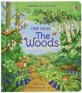 Look inside the woods: lift-the-flap book